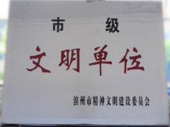 喜訊！公司榮獲“市級文明單位”稱號